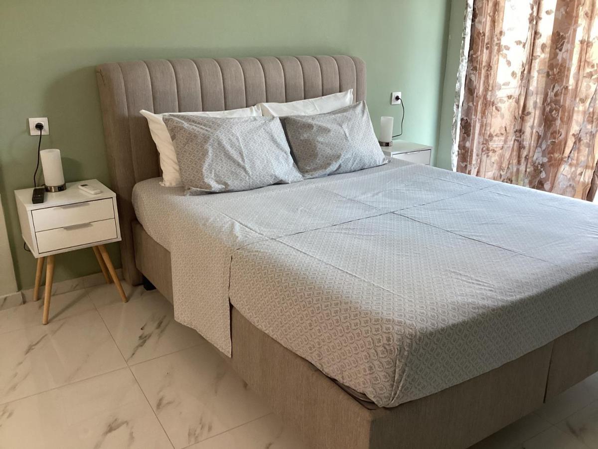 Luxury With Sauna And Free Parking Near Acropolis 아테네 외부 사진